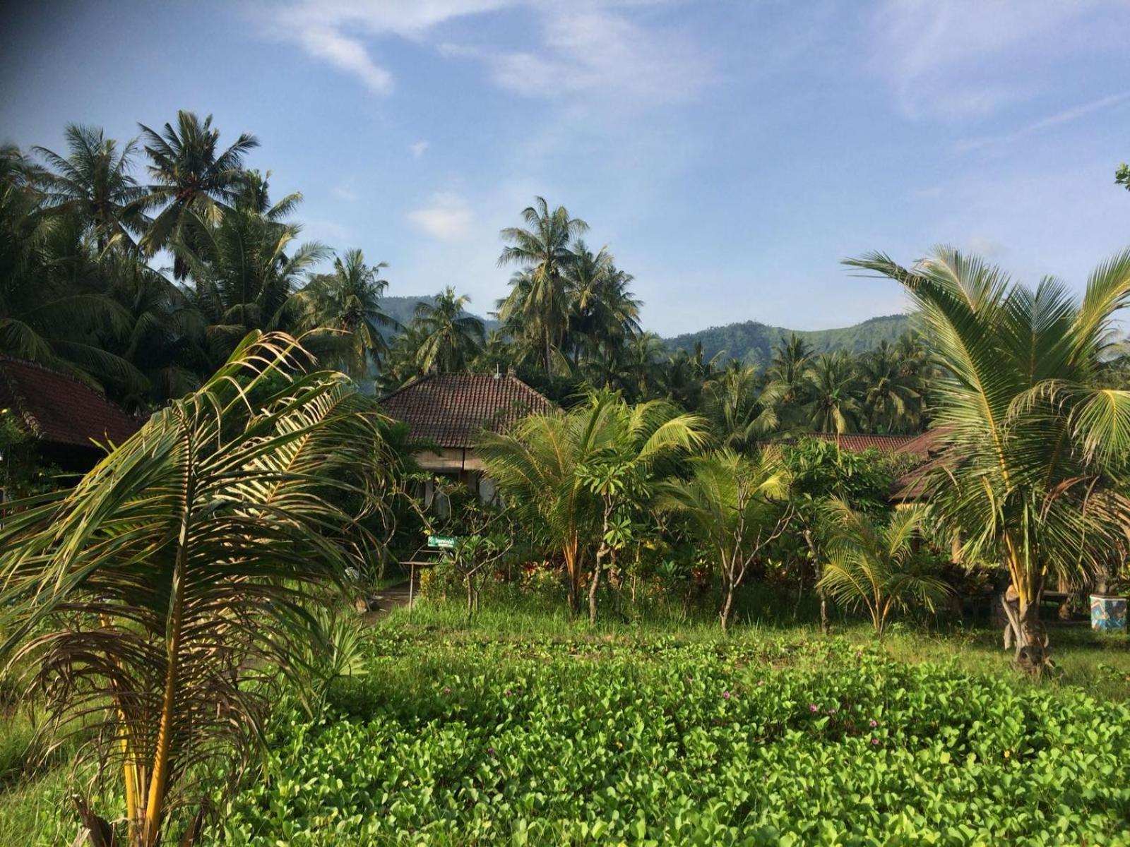 Bali Segara Lestari Oceanfront Villas Tejakula Luaran gambar