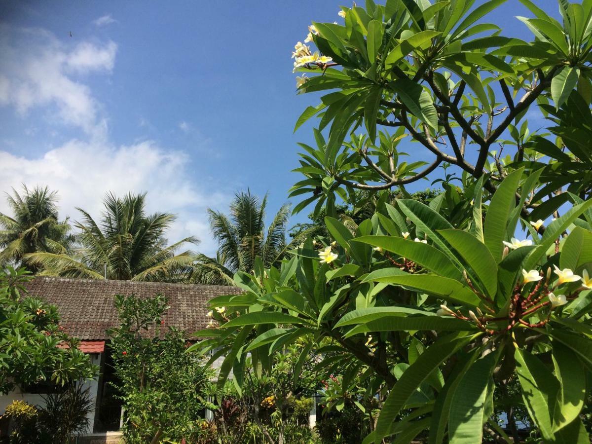 Bali Segara Lestari Oceanfront Villas Tejakula Luaran gambar