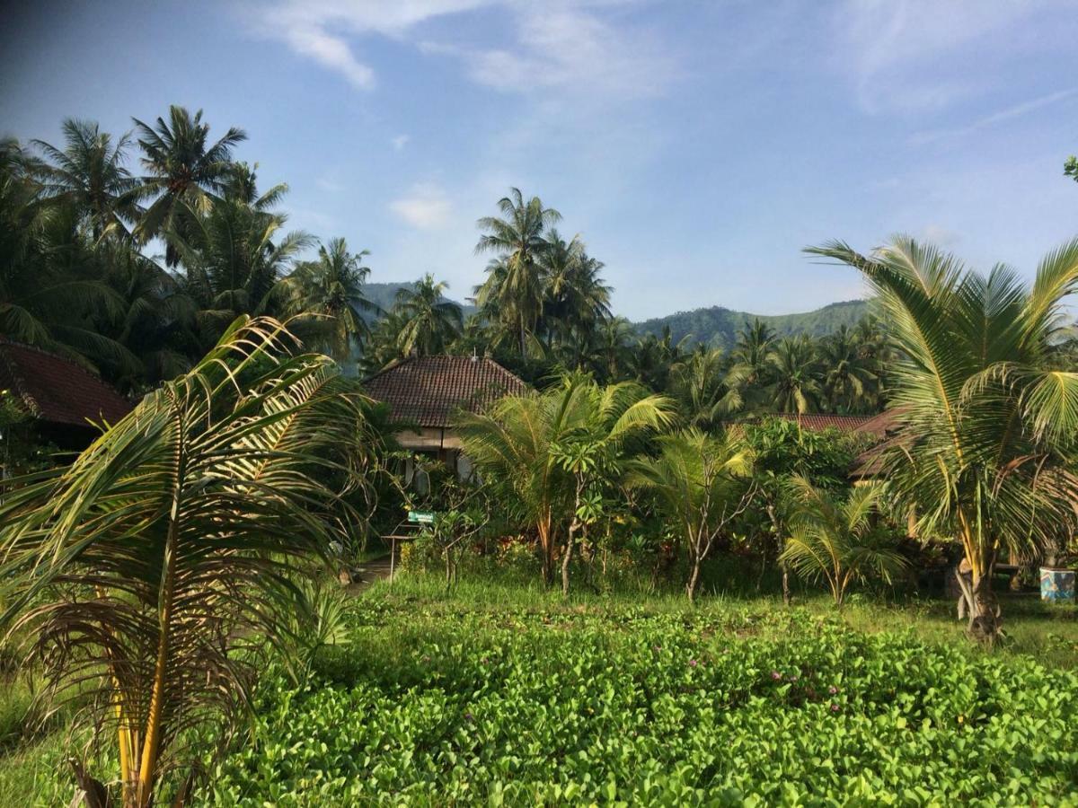 Bali Segara Lestari Oceanfront Villas Tejakula Luaran gambar